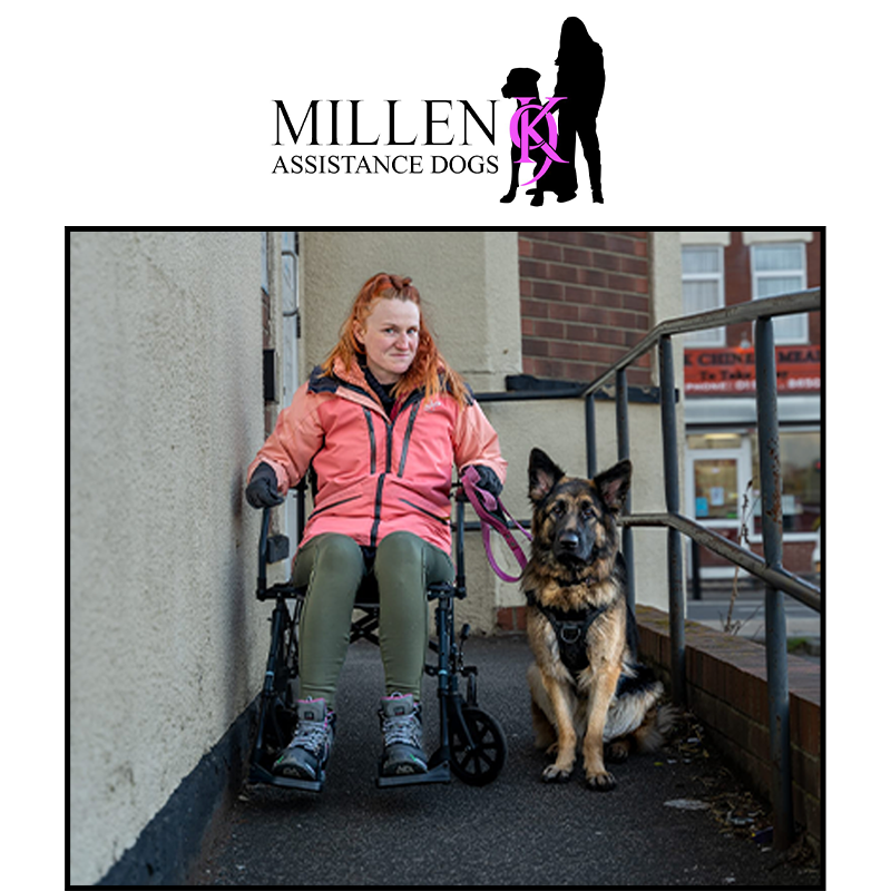 millen dog training yorkshire